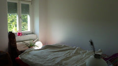 Meine Unterkunft ist in der Nähe von Schweglerstraße. Du wirst meine Unterkunft  Vienna, Austria lightful and silent city appartment Entire rental unit vacation rental 13947783