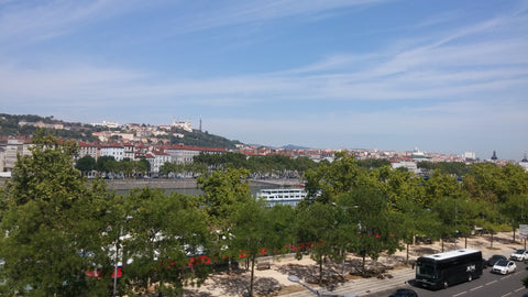 logement rénové : mélange charme de l'ancien et moderne. Très belle vue Rhône. A  appartement vue rhône 35 m² Entire rental unit vacation rental 19283524