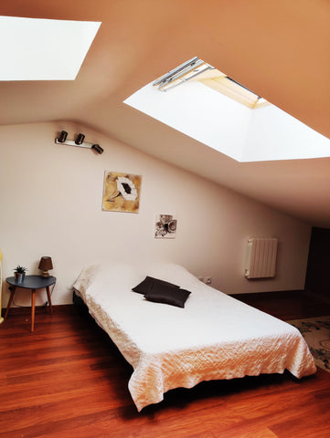 Chambre de  20 m2 au premier etage d une maison individuelle  sur Bordeaux  à pr Bordeaux, France Grande chambre   sur Bordeaux Centre Private room vacation rental 44512633