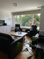 The apartment is in a calm neighborhood, close to the public park Gent-Zuid, jus Ghent, Belgium Spacious apartment in the city; next to the park Entire condo vacation rental 48087171