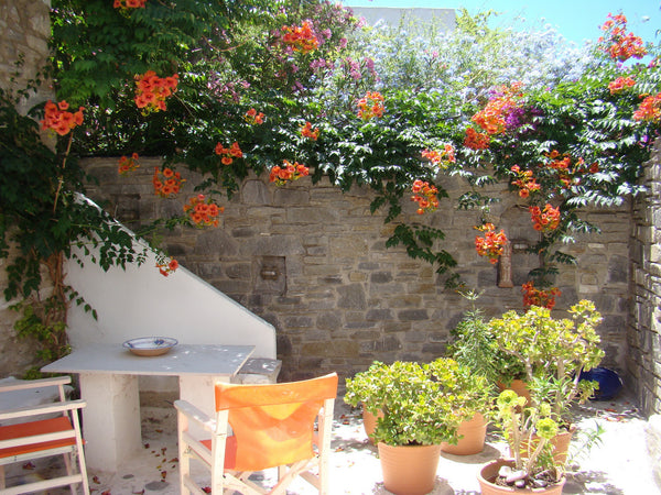 The entire house is rented to 2 to 6 people.Welcome in Paros, the island where t Greece Renovated Stone Built House (old town, in Parikia) Entire home vacation rental 17804041