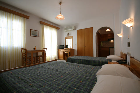 Aegeon Apartments is a family business. Fully equiped apartments created to prov  Triple Studio with Balcony Private room in bed and breakfast vacation rental 12718378
