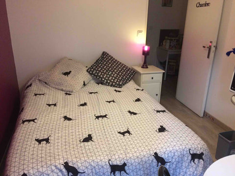 Chambre lumineuse dans un  très belle appartement .<br />Au 1 étage avec ascense Talence, France Chambre privée à talence Private room in condo vacation rental 22597142