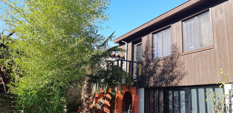 studio lumineux situé au premier étage d'une ancienne grange.<br />vous entendre Bordeaux, France Gite  studio lumineux avec vue sur jardin Private room in rental unit vacation rental 558406251156038644