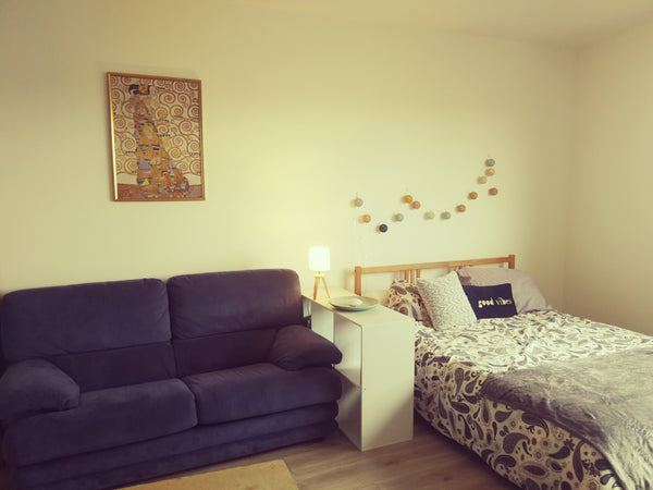 Je vous propose mon charmant studio de 30m2 très agréable et très calme au pied   Grand Studio VUE sur la Cité du Vin et la Garonne Entire rental unit vacation rental 589034323573628513