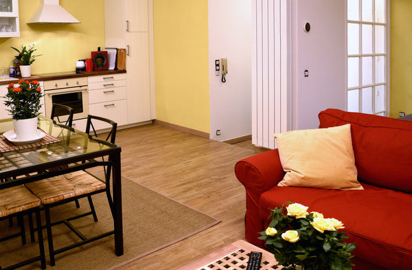 Grand studio entièrement rénové au carrefour des quartiers historiques de St-Pau Montsauche-les-Settons, France CŒUR BORDEAUX - T. GRAND STUDIO + PARKING (option) Entire rental unit vacation rental 19340002