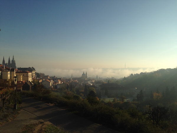 Villa apartment in the building from 1937 in a green area near of Prague Castle, Prague, Czechia Villa apartment in the building from 1937 Prague Entire rental unit vacation rental 12051700