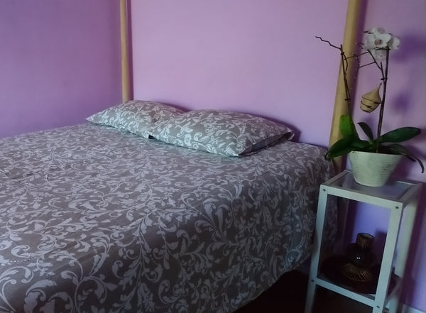 Free parking in the street!PRIVATE ROOM in our family apartment. It features a d Brussels, Belgium Free Parking! PRIVATE ROOM! chambre privée! Private room in rental unit vacation rental 20746433