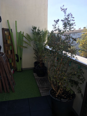 Terrasse équipée Bordeaux, France Appartement cauderan dernier étage calme et lumineux proche hippodrome galop et parc bordelais Private room in condo vacation rental 21808774