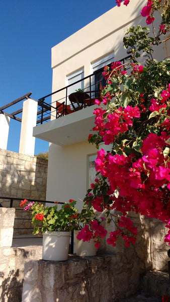 Delightful newly decorated throughout ,fantastic private  gated outside area, la Chania, Greece Almirida  view House,Aspro Village, Crete. Entire home vacation rental 19613150