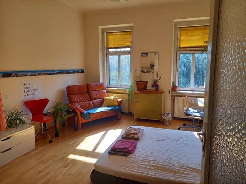 A dancer/choreographer with a spare room in my flat on a lively neighbourhood. P Vienna, Austria Big&cosy room in viennese Altbau Private room in condo vacation rental 4114635