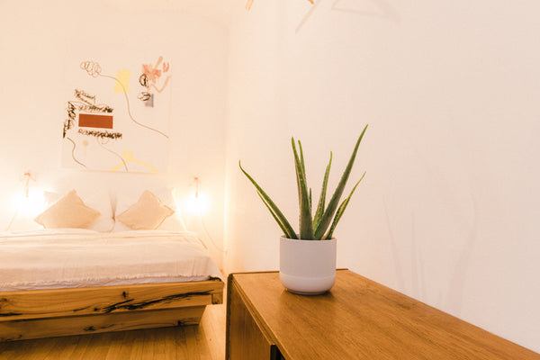 This studio apartment for two guests is placed only 400 Meters away from Vienna' Vienna, Austria COZY CENTRAL Apartment With Own Garden Entire rental unit vacation rental 42080332