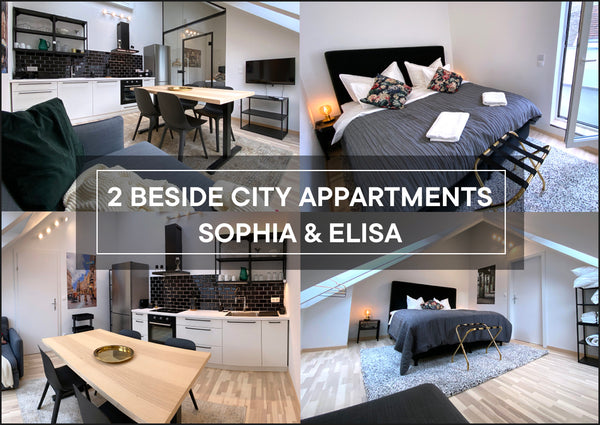 2 BESIDE CITY APPARTMENTS VIENNA - SOPHIA & ELISA Entire condo vacation rental 562744223136045069