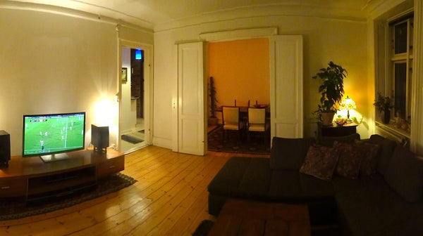 Hyggelig lejlighed bestående af 1 stor stue med 1 soveplads (sofa), 1 mindre stu Copenhagen, Denmark Centralt beliggende på Vesterbro Entire rental unit vacation rental 10421213