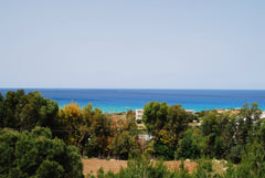 MIKRA DOMATIA 2 ATOMON   OIKONOMIKU  TIPU  ΙΟΚΟΝΟΜΙΚΑ  ΔΟΜΑΤΙΑ   2 ΑΤΟΜΟΝ Private room in bed and breakfast vacation rental 27646407