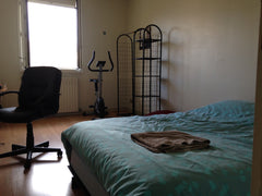 quartier tranquille à 15 mn à pied du tram B pour le centre de Bordeaux<br /> a  Talence, France chambre d'hotes/ guest room Private room in guesthouse vacation rental 21374400