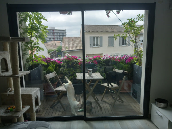 T2 moderne tout confort !<br />Spacieux de 40m² très lumineux avec balcon fleuri Mérignac, France T2 récent très lumineux,proche de ttes commodités Entire condo vacation rental 19755429