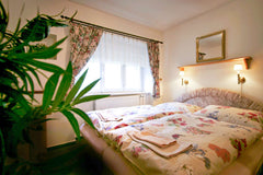 Central apartment for up to 4 persons with equipped kitchen, bathroom and free W Czechia Great Family Apt|WIFI+Cleaning Entire serviced apartment vacation rental 21997888