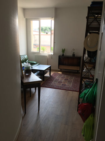 Dans un immeuble en pierre, appartement spacieux avec grande terrasse ensoleillé Bordeaux, France Accommodation with sunny terrace at Jardin Public Entire rental unit vacation rental 27167445