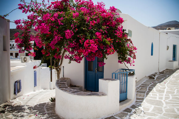 Familly traditional Greek house, ideal destination for holidays. Strategic locat Attica region, Greece The Bougainvillaea corner house in Lefkes Cycladic home vacation rental 14834275