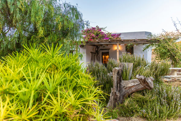 Named for the blue blossoms that welcome you as you enter, Morning Glory is a re Tinos, Greece Morning Glory — Under the Linden Tree, Tinos Farm stay vacation rental 44113008