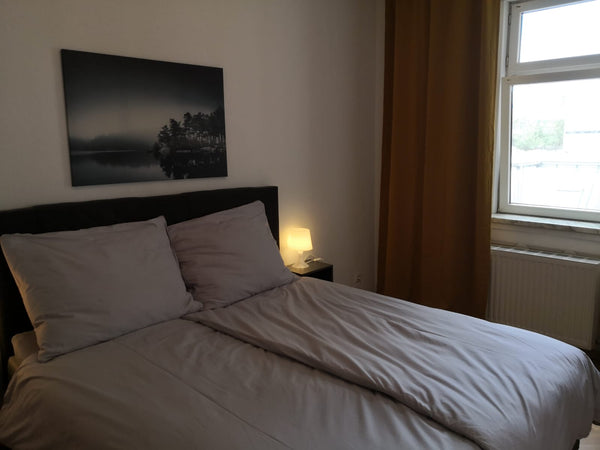 Sie bekommen während ihres aufenthaltes eine Wohnung mit einer Größe von 60m². S Vienna, Austria Wohnung in einem Wiener Gründerzeithaus Entire rental unit vacation rental 37494715