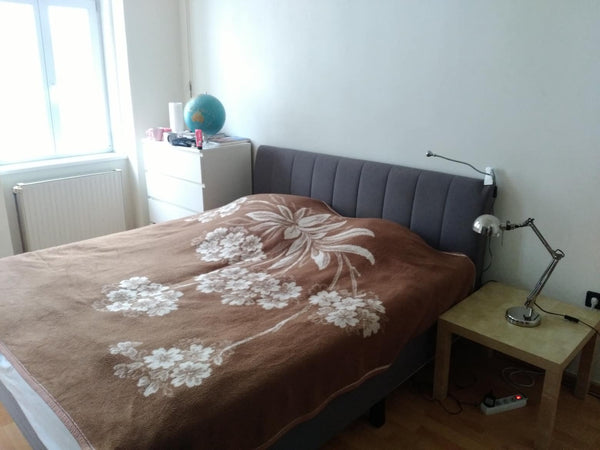 Comfortable room in Vienna historical district Alsergrund. 150 m to Vienna Volks Vienna, Austria Comfortable Room near Vienna Volksopera Private room in rental unit vacation rental 41999034