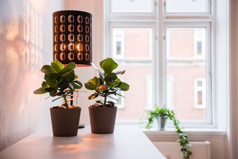 A nice 2 bedrooms apartment with a double bed and a single bed. <br />In the mid Frederiksberg, Denmark T5, 1. th Nice apartment in Østerbro Entire serviced apartment vacation rental 612782227617798444