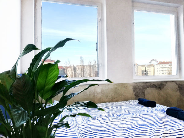 Bright design studio apartment in the center of Vienna, near Schwedenplatz.<br / Vienna, Austria Bright design studio apartment near Schwedenplatz Entire rental unit vacation rental 42244600