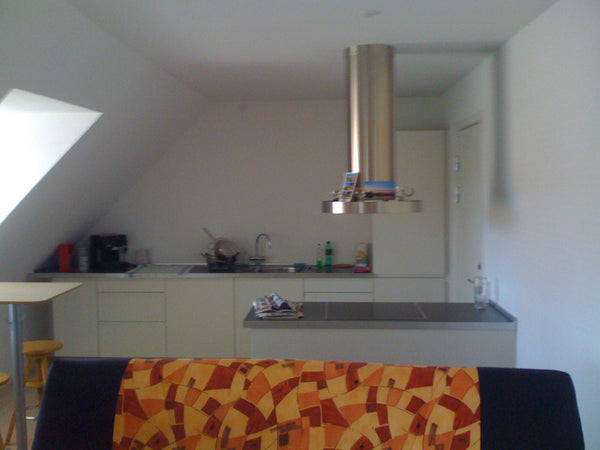 Min bolig lægger tæt på centrum, parker, kunst og kultur og The International Fo  Great apartment in the heart of CPH, Østerbro Entire rental unit vacation rental 17364608