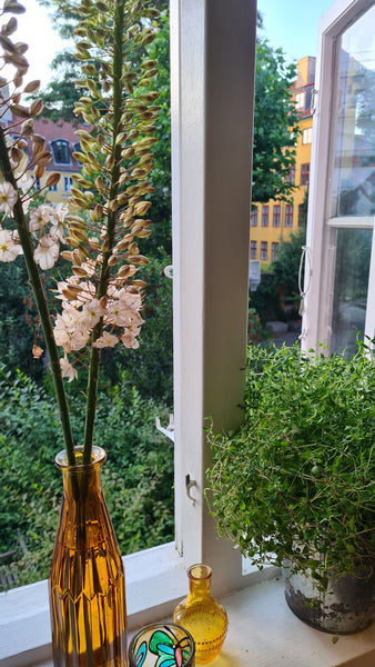 In the heart of Christianshavn, Copenhagen. <br /><br />Authentic Christianshavn Denmark Cozy 2 storey apartment in the best area of CPH Entire rental unit vacation rental 691137451486645305