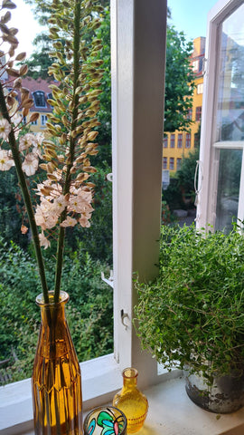 In the heart of Christianshavn, Copenhagen. <br /><br />Authentic Christianshavn Denmark Cozy 2 storey apartment in the best area of CPH Entire rental unit vacation rental 691137451486645305