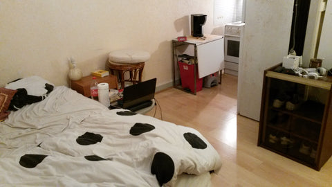 Lit 2 places + BZ convertible<br />(2places),kitchenette ,SDB,machine a laver, c Bordeaux, France Appartement 36m² centre de Bordeaux Entire rental unit vacation rental 3017582