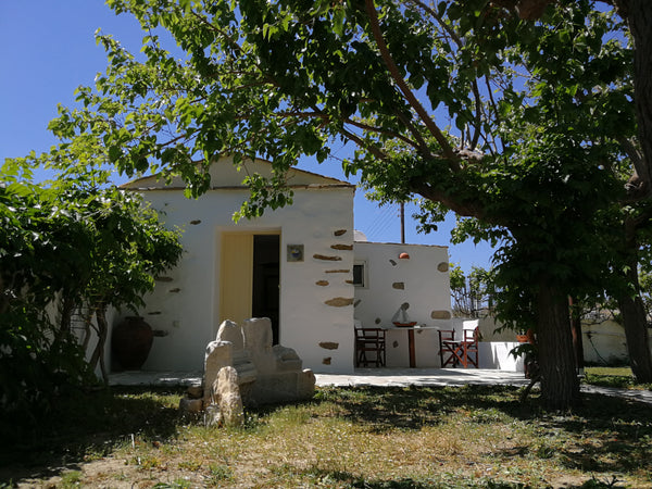 Our small indepentent house was a farmer's house, which is freshly renovated and Paros, Greece Marili Apartments, Apt#7, Small indepentent house Entire rental unit vacation rental 3119638