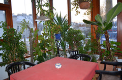 Lovingly furnished  luxury apartment in the heart of Vienna (7th district) with  Vienna, Austria Roof terrace flat in the centre Entire loft vacation rental 5559481