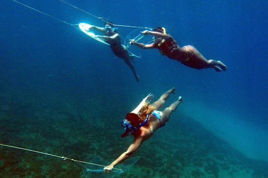 Underwater Boat Hitchhiking with Barbecue Lunch  Private Tours and Travel Guide America Recife CITY Recife Destination Tour