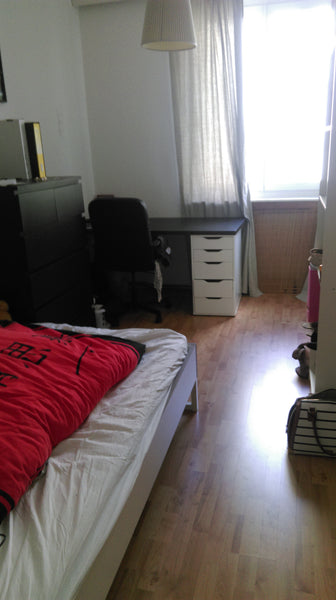 The apartment is in the center of vienna in a quiet side street. Directly under  Vienna, Austria Room in the center of vienna Private room in rental unit vacation rental 13609902