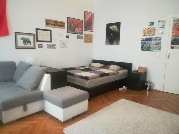 Large room in a lovely (shared) apartment. Located in the center of Vienna, in t Vienna, Austria 22sqm room near Mariahilferstr in Viennas center Private room in rental unit vacation rental 19230813