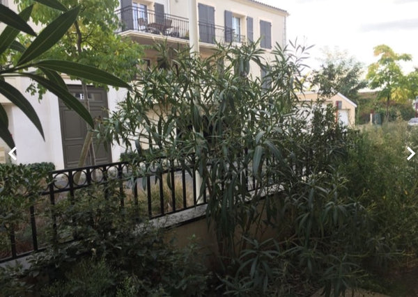 Close to Bordeaux centre . 15 min by public transport .  VILLENAVE D'ORNON HOME Private room in rental unit vacation rental 25641218