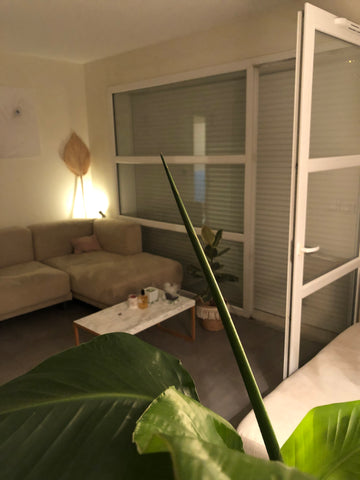 Détendez-vous dans ce logement calme et élégant.<br /><br /><b>The space</b><br  Bordeaux, France Superbe appartement avec parking gratuit sur place Entire condo vacation rental 685236913433963748