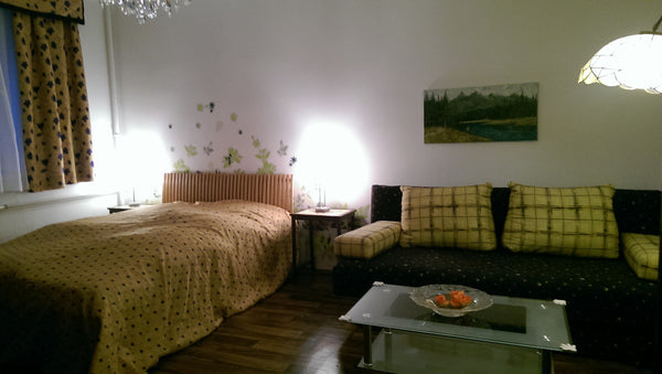 This 2room apartment is only 5 minutes away from Belvedere and Botanic garden! I London, United Kingdom Cozy apartment near Belvedere Entire rental unit vacation rental 5734665