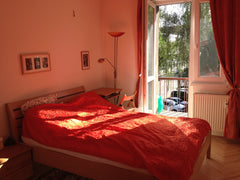 Cozy apt. in calm street, with balcony to the park, comes luxuriously furnished  Prague, Czechia Cozy apt. in calm street, with balcony to the park Entire rental unit vacation rental 14682100