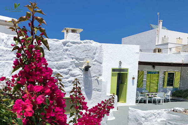 This beautiful greek traditional house has been restored to its original beauty, Barați, Romania The Olive House Cycladic home vacation rental 18201900