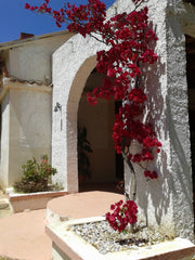 Endless Summer boutique Villa, Near the Beach, surrounded with Garden and Orchar Chania, Greece Endless Summer boutique Villa, Near the Beach Entire villa vacation rental 47275436