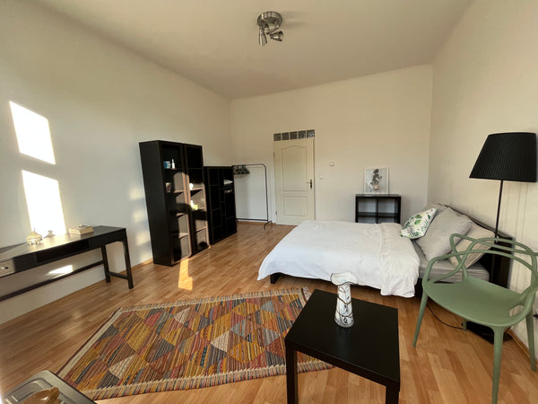 Very bright & minimalistic place with all kitchen supplies. <br />**Big Portable Vienna, Austria Very Luminous Apartment 5min walk to Messe-Prater Entire rental unit vacation rental 28822816