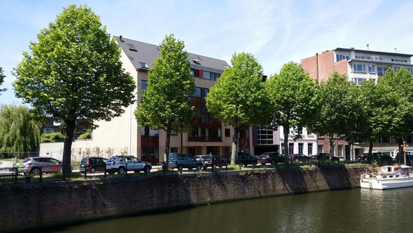 My place is a big appartement on the groundfloor with separate private entrance, Ghent, Belgium Entre dos aguas, next to a citypark Entire rental unit vacation rental 5498400