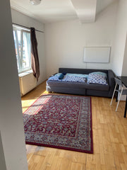 Von dieser zentral gelegenen Unterkunft aus seid ihr in Nullkommanichts an allen  Large room next to the main train station, metro Private room in rental unit vacation rental 703457558099408461