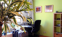 Mein Apartment ist sehr hell, ruhig, hofseitig, große Bäume vor dem Fenster, es  Vienna, Austria Charming! Beautiful Feelgood-Apartement, nr Center Entire rental unit vacation rental 20231770