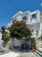 One of the most photographed properties in Naoussa, a semi-detached duplex/maiso  4-persons Traditional Villa @ Naoussa Center Entire home vacation rental 11373103