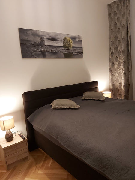 Angelika Apartments Entire rental unit vacation rental 41073563